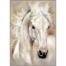 N-185 Картина (Белый конь) Алмазная мозаика 20x28см, 16  цветов