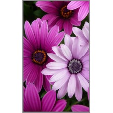 N-342х  Картина (Цветы) Алмазная мозаика 29x19 см, 26 цветов