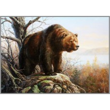 O-582х Картина (Медведь) Алмазная мозаика 50x35см, 31 цвет