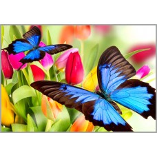 NR-143т Картина (Бабочки и тюльпаны) Алмазная мозаика 29.5x20.5см, 28 цветов